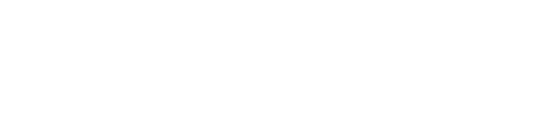 bepes logo 1